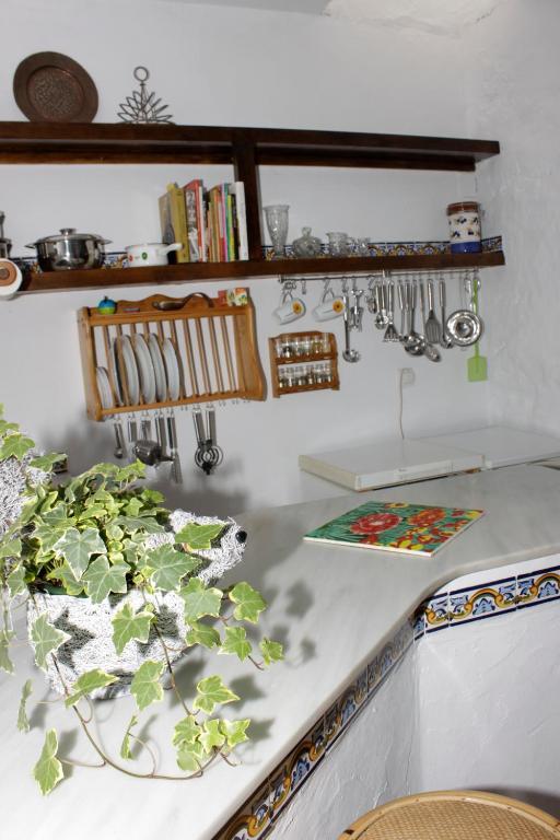 Villas Los Olivares Els Poblets Habitación foto